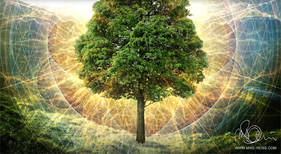 Der Baum des Lebens (Tree of Life)
