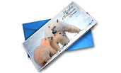 Eisbären Karte / Ice Bear / Polar Bear Card