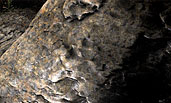 Zbrush Felsen Rock Erde Textur Mud