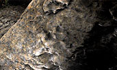 zbrush rock mud felsen stein erde terrain for audi q7 render Zbrush Felsen Rock Erde Textur Mud
