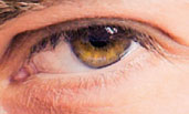 Eye Retouch Augen Retusche Photoshop